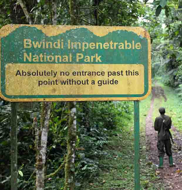 bwindi-impenetrable-national-park